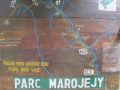 Marojejy National Park 065.jpg
