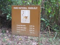 Marojejy National Park 134.jpg