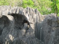 Tsingy de Bemaraha IMG 4592.jpg