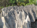 Tsingy de Bemaraha IMG 4608.jpg