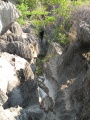 Tsingy de Bemaraha IMG 4609.jpg