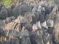 Tsingy de Bemaraha IMG 4708.jpg