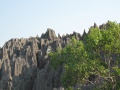 Tsingy de Bemaraha IMG 4798.jpg