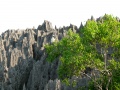 Tsingy de Bemaraha IMG 4799.jpg