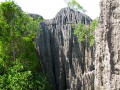 Tsingy de Bemaraha IMG 4911.jpg
