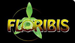 Floribis banner 06.jpg