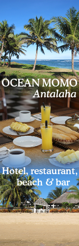 Ocean Momo banner 001.png
