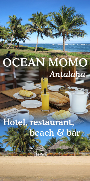 Ocean Momo banner 001 mobile.jpg