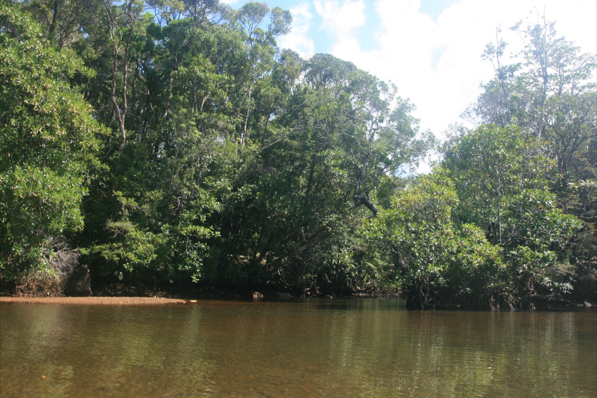 Masoala National Park - Madagascar