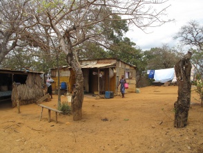 Ankorikakely - Madagascar