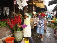 Antananarivo Flower Market 003.jpg