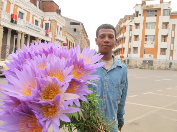 Antananarivo Flower Market 007.jpg