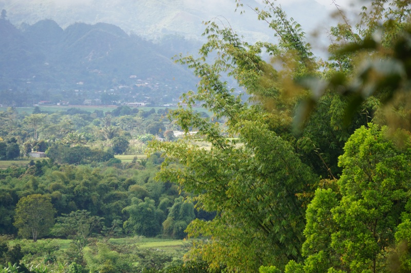 File:Antanetiambo Nature Reserve 037.jpg