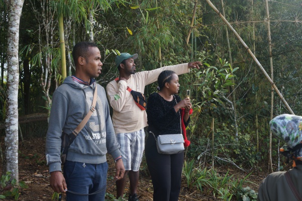 Antanetiambo Nature Reserve 068.jpg