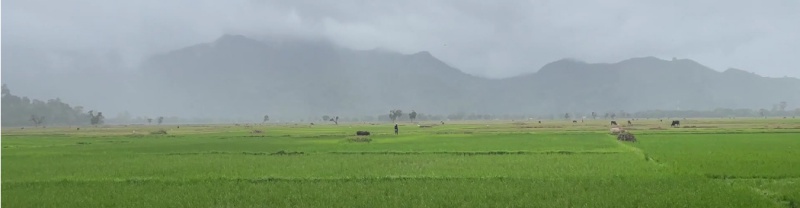 File:Antanetiambo Nature Reserve 129.jpg