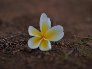 Antsahadinta Rova - Madagascar