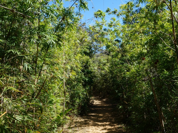 Black Lemur Camp Viewpoint Circuit 040.jpg