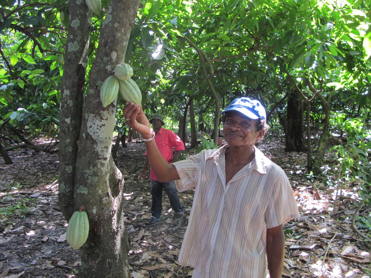 Issouf - a cacao farmer in Sambirano, Madagascar - Madagascar