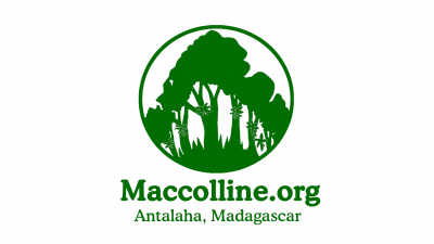 Macolline logo v2.png