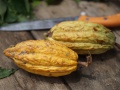 Madagascar Cacao 001.jpg