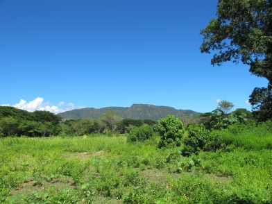 Sambirano - Madagascar