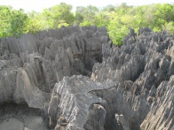 Tsingy de Bemaraha IMG 4638.jpg