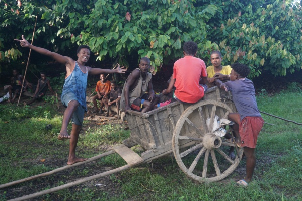 Zebu cart 014.jpg