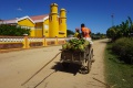 Zebu cart 017.jpg