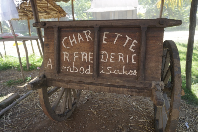 Zebu cart 018.jpg