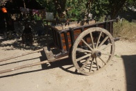 Zebu cart 034.jpg