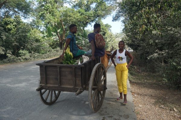 Zebu cart 040.jpg