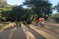 Zebu cart 049.jpg