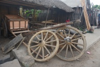 Zebu cart 052.jpg