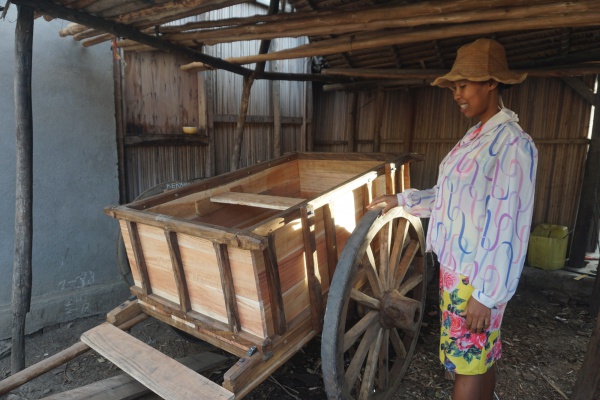 Zebu cart 053.jpg