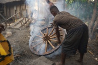 Zebu cart 063.jpg