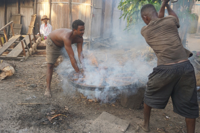 Zebu cart 064.jpg