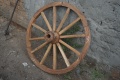 Zebu cart 066.jpg