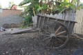 Zebu cart 074.jpg